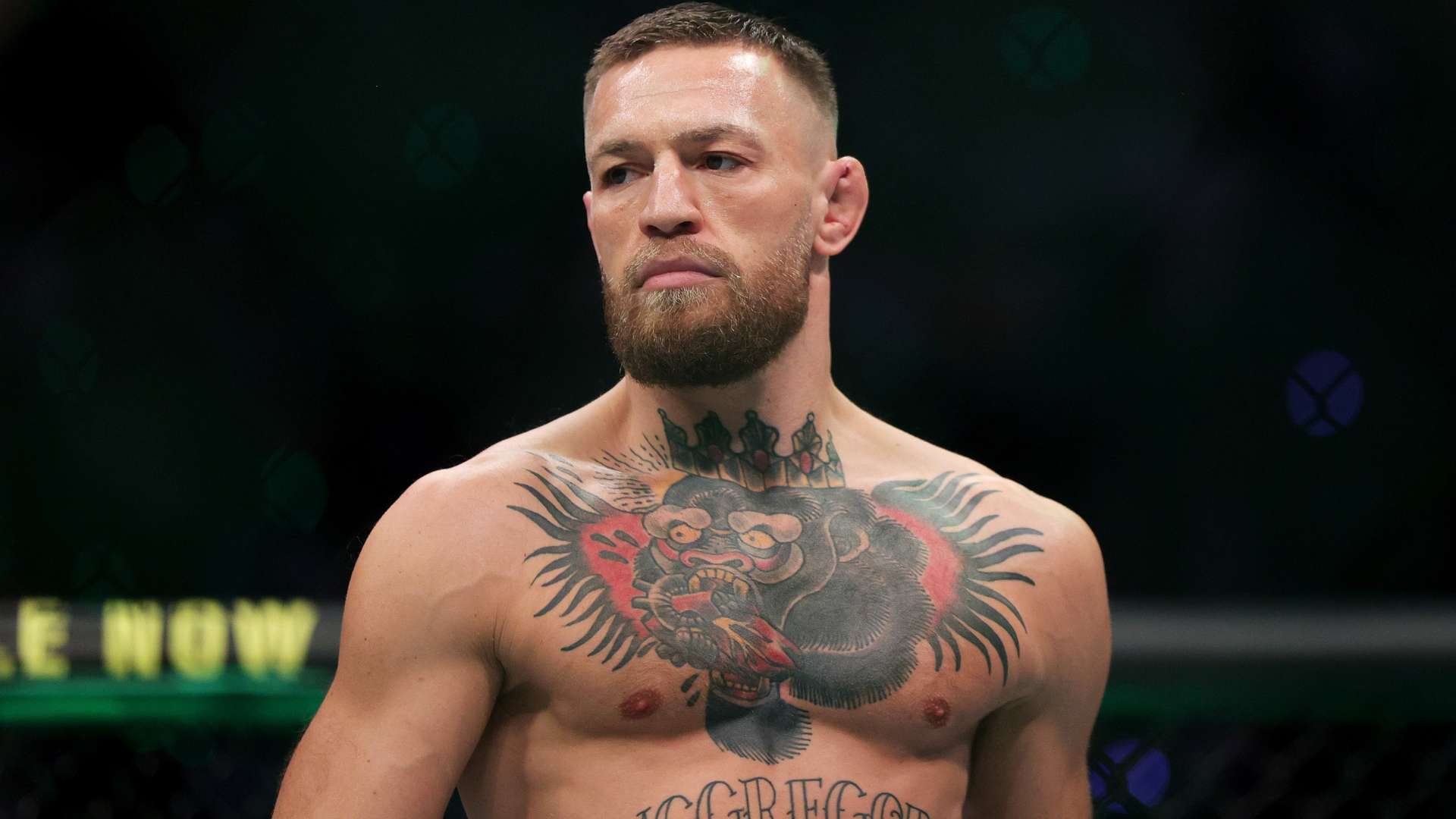 广州电视台全新直播体验即刻开启，紧跟时事走在新闻最前沿